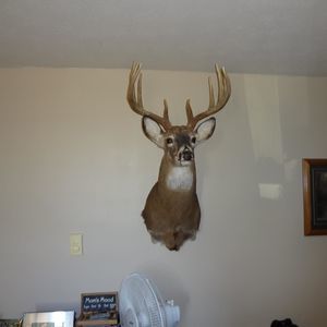 Meet your Posher, Greg